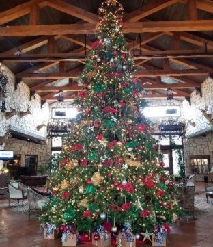 Y O Ranch Hotel And Conference Center Kerrville Chambre photo